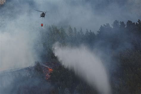 Reportan 303 Incendios Forestales Activos Y 82 En Combate