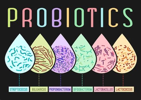 Top 5 Benefits Of Probiotics Landscape Poster Medical Infographic