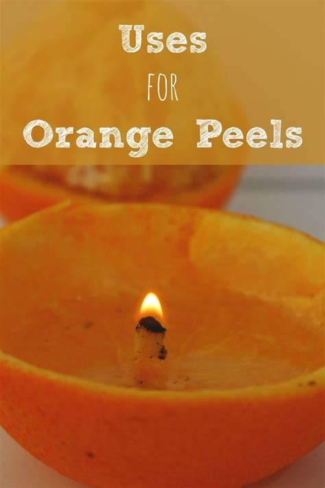 10 Uses for Orange Peels - BargainBriana