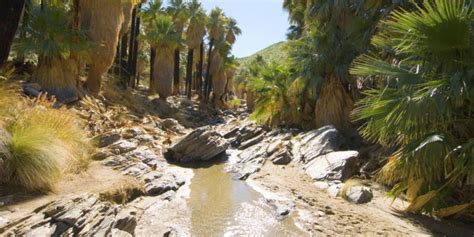 Best Palm Springs & Coachella Valley Hiking Trails | Marriott TRAVELER