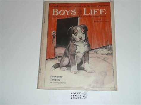 1925 June Boys Life Magazine Boy Scouts Of America