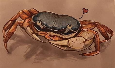 How to draw a crab · Sketch a Day