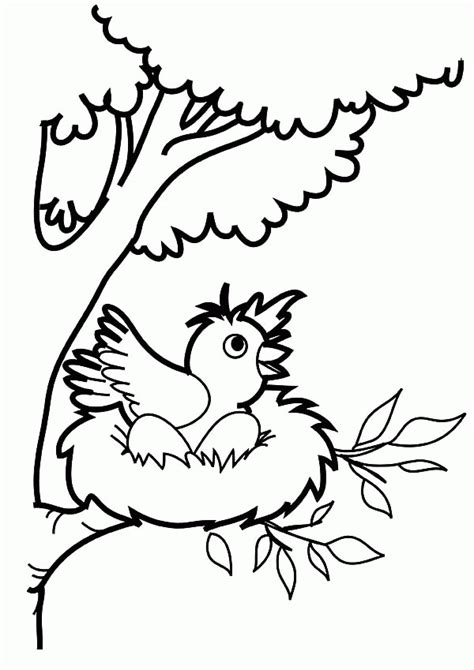 Free Nest Coloring Page, Download Free Nest Coloring Page png images ...