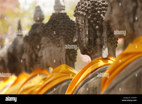 Profile Image Of Buddha Statue In A Row At Wat Yai Chai Mongkol