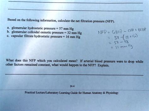 18 Calculate Net Filtration Pressure JemmaSharon