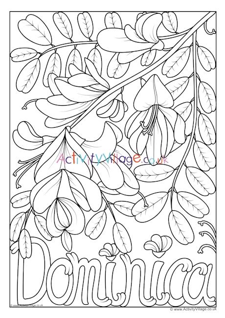 Dominica National Flower Colouring Page