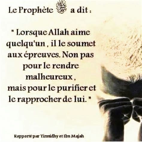 Rapport Par Tirmidhi Et Ibn Majah Citations Sur L Islam Rappel