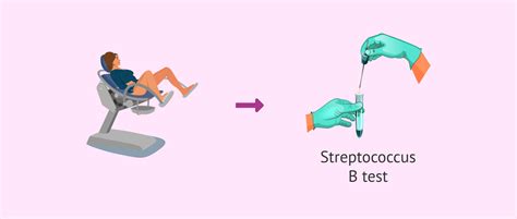 The Group B Streptococcus Test In Pregnancy