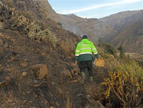 Incendio Forestal En La Uni N Fue Controlado Y Pas A Fase De