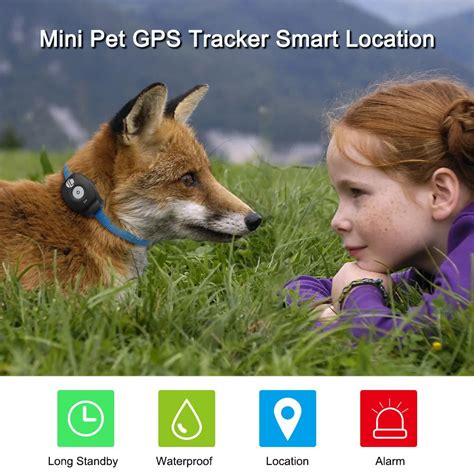 Mini Pet GPS Tracker Waterproof Smart GPS Tracker With Collar For Pets ...