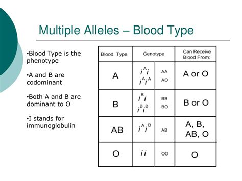 Blood Type Allele Chart