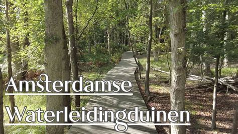 Amsterdamse Waterleidingduinen Oase Gele Route Wandeling 4K YouTube