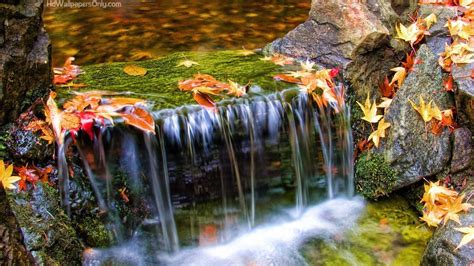 Autumn Waterfall Wallpaper (57+ images)