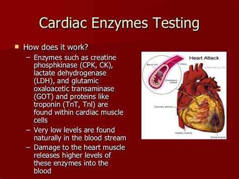 Cardiovascular System Procedures