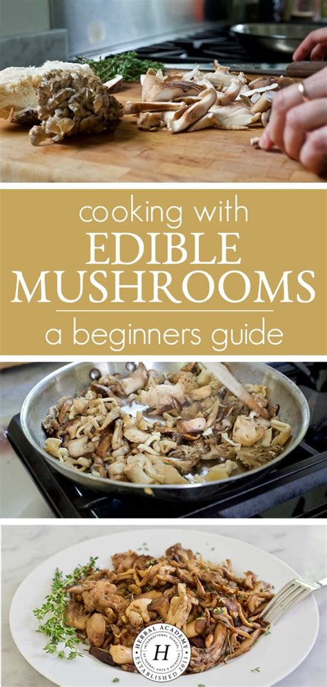 Cooking With Edible Mushrooms A Beginner’s Guide