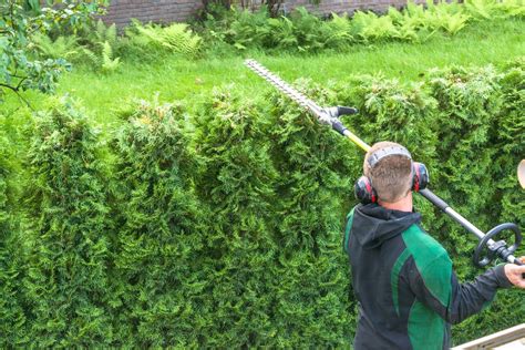 Best Long Reach Hedge Trimmers of 2023 - Homes Whiz