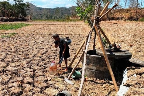 Kekeringan Meluas Ratusan Keluarga Di Gunungkidul Krisis Air Bersih