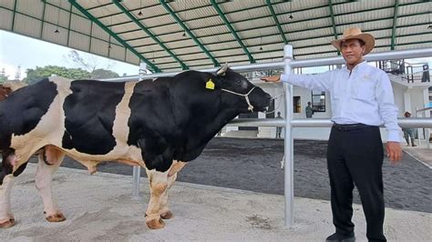 Foto Mentan Amran Pacu Produktivitas Semen Beku Untuk Tingkatkan