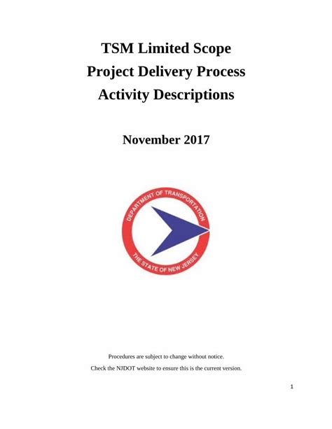 Pdf Tsm Limited Scope Project Delivery Process Activity · Project