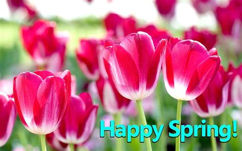 Happy Spring Wallpapers - Top Free Happy Spring Backgrounds ...