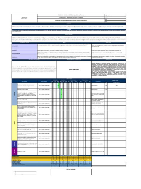 Programa De GestiÓn De Vigilancia Epidemiologico Pdf Seguridad Y