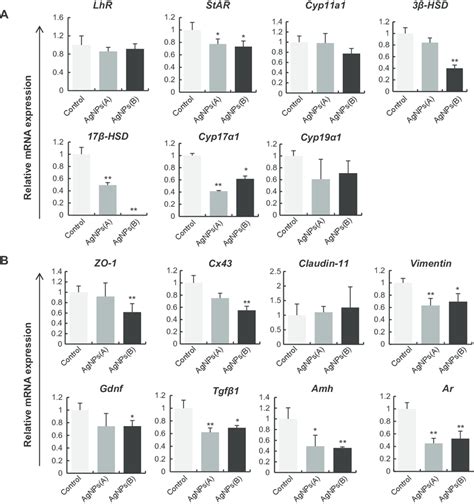 Effect Of Agnps On Gene Expression In Tm3 And Tm4 Cells Notes A Download Scientific Diagram