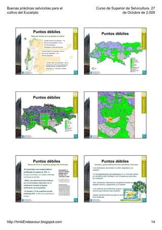 Selvicultura Del Eucalipto Pdf