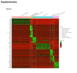Supplementary figure.docx