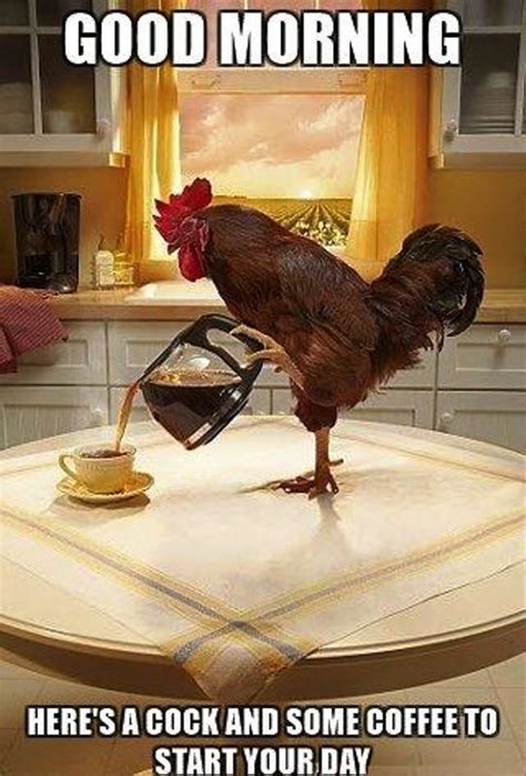 35 Good Morning Rooster Pictures