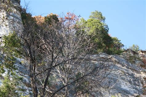 Missouri River Bluffs In October Katy Trail State Park Near Weldon