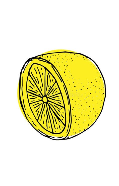 Half of Lemon, Vector Illustration, Hand Drawing Sketch, Yellow Stock ...