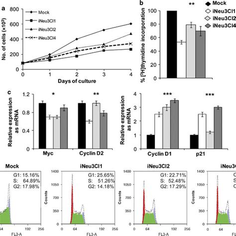 Assessment Of K562 Cells Proliferation And Apoptosis Resistance After Download Scientific