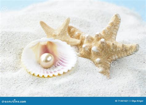 Starfish And Shells With Pearls On The Sand Stock Image Image Of