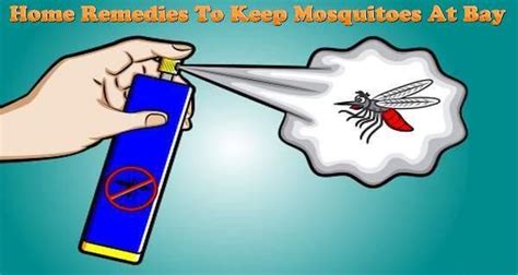 10 natural ways to get rid of mosquitoes in your house - Read Health ...