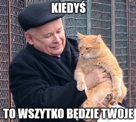 MEMY Dom bez kota to głupota Najlepsze memy o kotach Memy z kotami w