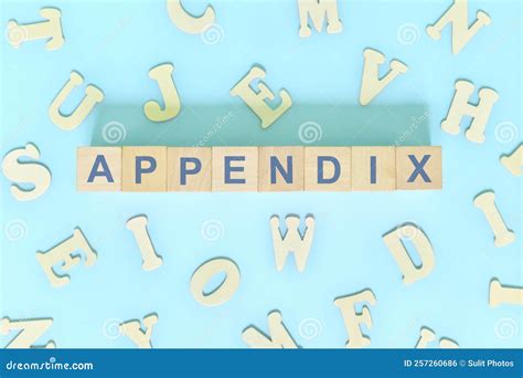 Appendix Part Of A Book Concept Wooden Blocks Typography Word Flat Lay