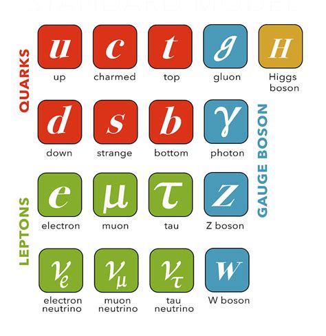 Standard Model Particle Physics Photograph By Monica Schroeder Fine