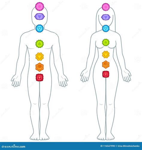 Chakras Del Cuerpo Masculino Y Femenino Infographic Ilustración del