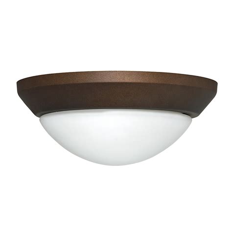 Globe Light Fixture