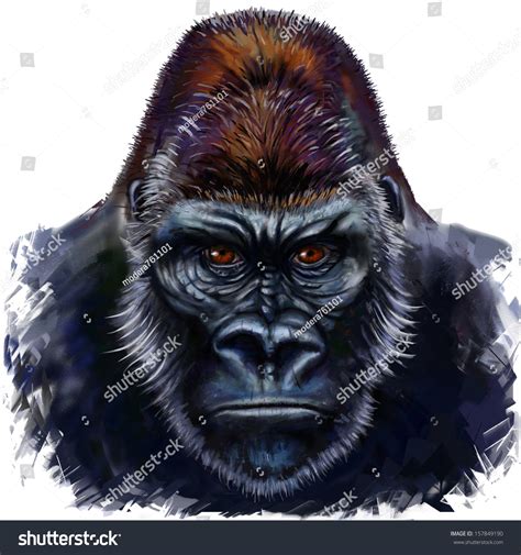 Gorilla Digital Painting Gorilla Male Stock Photo 157849190 Shutterstock