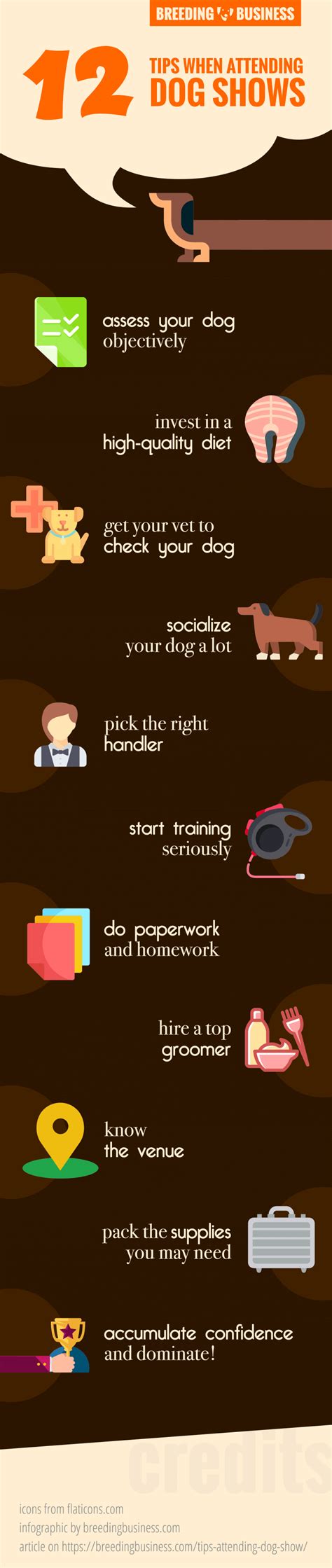 Top 12 Successful Dog Breeding Tips — Genetics, Kennels, Books, Etc!