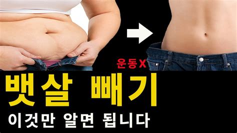 뱃살 빼는 방법 중 간헐적 단식이 최고인 이유 살 안 빠지는 이유 확인 실험 Youtube