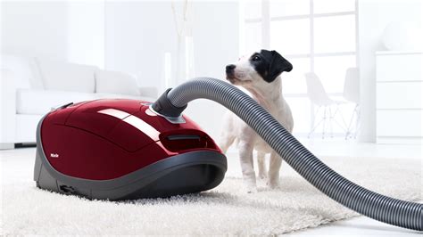 Miele Complete C3 Cat & Dog Pro PowerLine review | T3