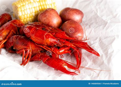 A Crawfish Boil with Corn on the Cob and Potatoes Stock Photo - Image of boil, boiled: 146684566