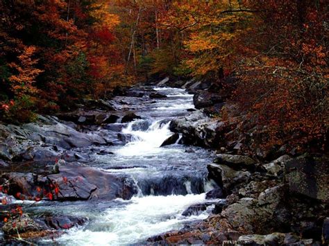 View Fall In Smoky Mountains Things To Do Travel Tips Dotted Globe