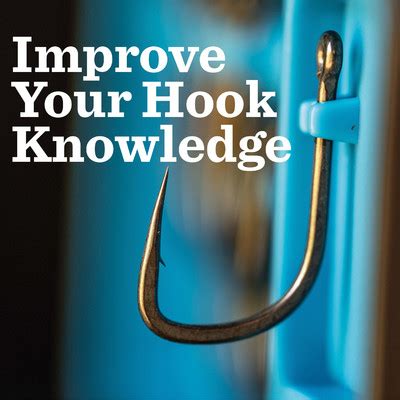 Your Complete Guide To Hooklink Materials