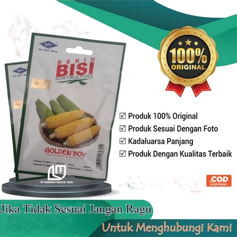 Jual 50 Biji Bibit Benih Jagung Manis Hibrida Golden Boy Bisi