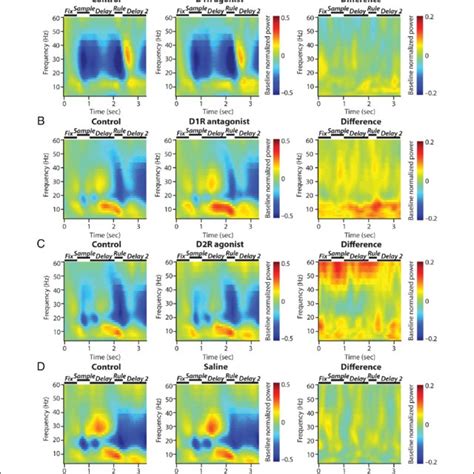 Time Dependent Modulation Of Internally Generated Lfp Power Spectra