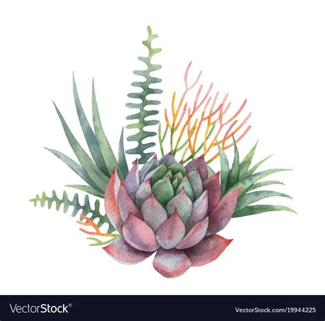 Watercolor Bouquet Cacti And Succulent Royalty Free Vector