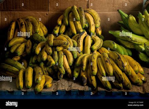 Que Es La Banana Immagini E Fotografie Stock Ad Alta Risoluzione Alamy